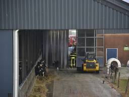 De brand was snel onder controle. (Foto: Marco Verhag)