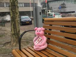 Knuffelvarkentje op plein bij gemeentehuis in Heesch: 'Heesch is tegen geweld'