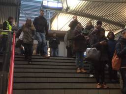 Treinstoring op station Den Bosch 