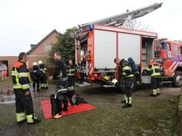 Brandweerlieden slaagden erin tien biggen te redden. (Foto: SQ Vision).