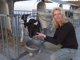 Volgens melkveehoudster Miranda Snepvangers uit Bergen op Zoom zijn koeien niet te vergelijken met mensen