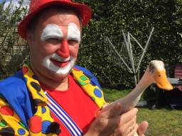 Clown Cornelio zoekt onderdak voor zijn eendjes