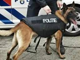 De politiehond beet van zich af. (Archieffoto)