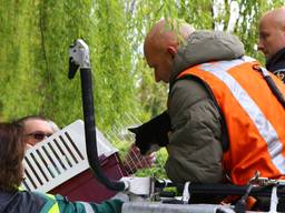 De brandweer hielp het dier uit de boom. (Foto: Sander van Gils/SQ Vision0.