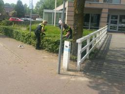 Agenten proberen de kittens te vangen. (Foto: politie Gemert/Facebook)