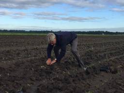 Drone spoort nestjes weidevogels op