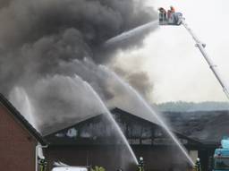 Tweeduizend varkens komen om in grote brand Kruisland