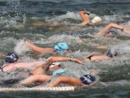 Zwemwedstrijd in Oss gaat door pesterijen niet door ( foto BBZ zwemmers)