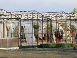 Een beeld van de stormschade in Someren (foto: Harrie Grijseels/SQ Vision Mediaprodukties).