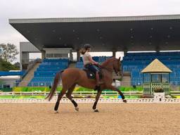 Sanne Voets op Demantur tijdens een training in Rio. (Foto: Facebook Sanne Voets) 