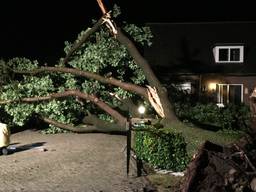 'Het leek wel oorlog', bewoners schrikken van omgevallen boom op huis