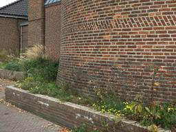 Vierlingsbeek baalt van onkruid rondom lege kerk