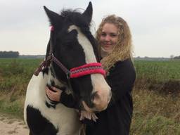 Verslaggever Eva de Schipper ging langs op stal bij Deveny en haar paard Zorro.