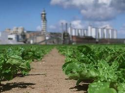 Bergen op Zoom opent eerste biobased pop-up winkel