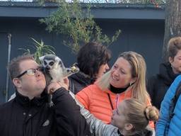 Iedereen geniet van het kerstdiner bij Dierenrijk. (foto: Ferenc Triki)