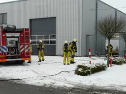 De auto's staan bij een schadeherstelbedrijf. (Foto: AS Media)