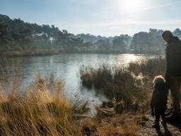 Het lukt Brabant maar moeilijk om natuurgebieden aan elkaar te knopen