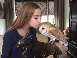 Mierloose Melissa heeft een kerkuil als huisdier