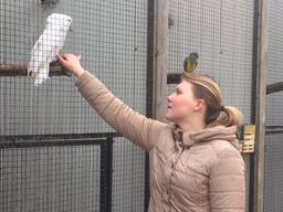 Zoo Veldhoven net open en de eerste kaketoes zijn al gestolen