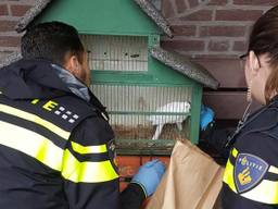 Foto: politie/Facebook