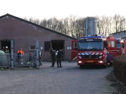 De boerderij in Erp (foto: Marco van den Broek / SQvision)