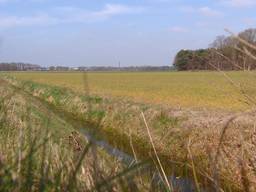 Nieuwe N629 moet dwars door natuurgebied Dongen gaan