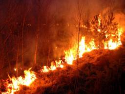 Het risico op natuurbranden in groot (archieffoto)