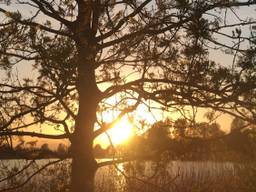 De zonsondergang in Den Bosch