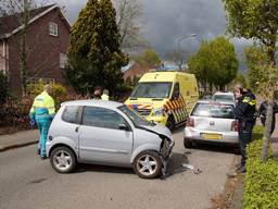 Foto: Martijn van Bijnen/FPMB