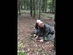 Het hertje werd vrijgelaten in het bos (Foto: Politie)