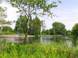 Breda (Foto: Henk Voermans)