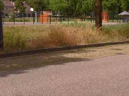 De parkeerplaats waar de taxichauffeur stilstond.