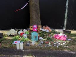Bloemen en kaarsen voor Savannah op vindplaats in Bunschoten (Foto: GinoPress)