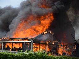 Een korte, maar hevige brand heeft vanmiddag een tuinkas in Etten-Leur verwoest