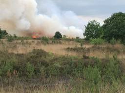 De bosbrand (foto: Hans van Hamersveld/Kijk en Klik media)