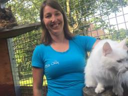 Mushi en Sunny in het kattenhotel van Wendy Govers