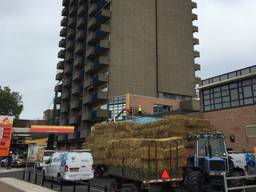 350 strobalen worden neergelegd bij de Beneluxflat in Roosendaal