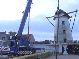 De molen van Borkel en Schaft wordt gerestaureerd