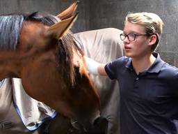 Okke op archiefbeeld met zijn gewonde paard I'M. (Foto: Eva de Schipper)