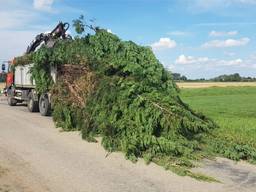 Vrachtwagen met iets te lange lading. (Foto: Politie Zeeland West-Brabant)