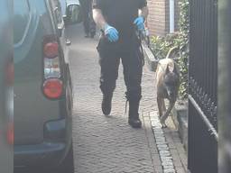 De politie zette een speciale geldhond in.