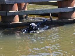Een duiker aan het werk bij de Willemsbrug in Breda. Foto: Perry roovers / SQ Vision Media