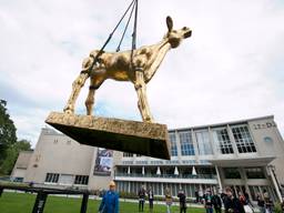 Het grote Gouden Kalf toen het nog in Utrecht stond