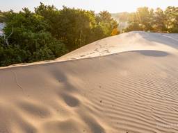 Een van de foto's van de Drunense Duinen (Laura Vink)