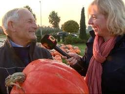 Pompoenkweker Ad Timmers uit Uden.