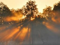 Natuurmonumenten luidt de herfst in met livestreams