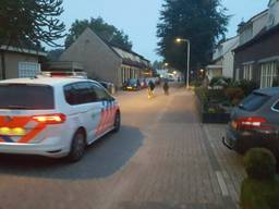 De twee 'verdachten' aan de wandel. (Foto: Politieteam Groene Beemden)