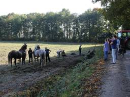 De paardenkar kwam in de sloot terecht. (Foto: SQ Vision Mediaprodukties)