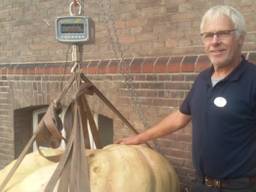 Tuinman Peter de Leeuw showt vol trots de reuzenpompoen (Foto: Park Zuiderhout)