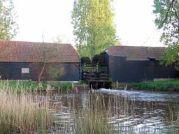De Collse watermolen is een van de Brabantse Van Goghmonumenten